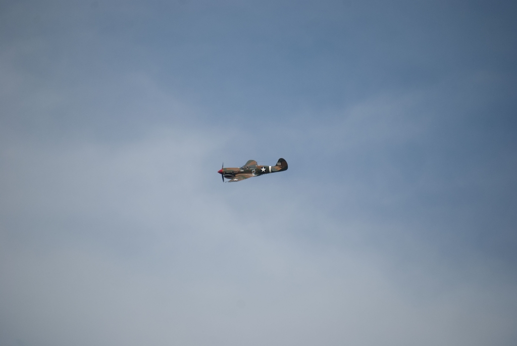 DSC_3601.jpg